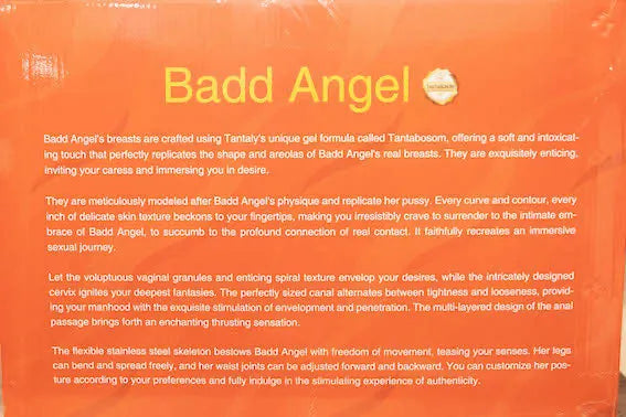 Wunderschöner böser Engel doll review packaging 4