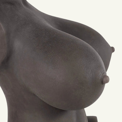 torsodoll Black cow big plan