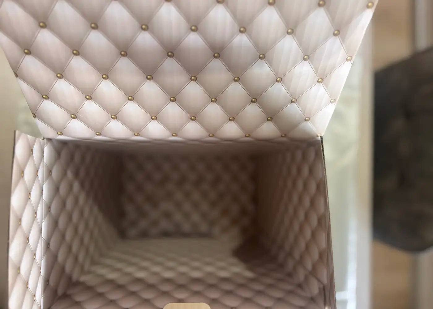Mion Hazuki Luxury Gold – Review doll review packaging 6